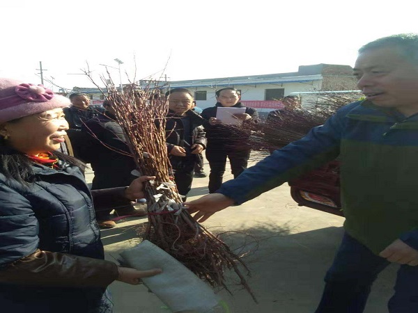 1680571209827433.jpg 圖片4.jpg